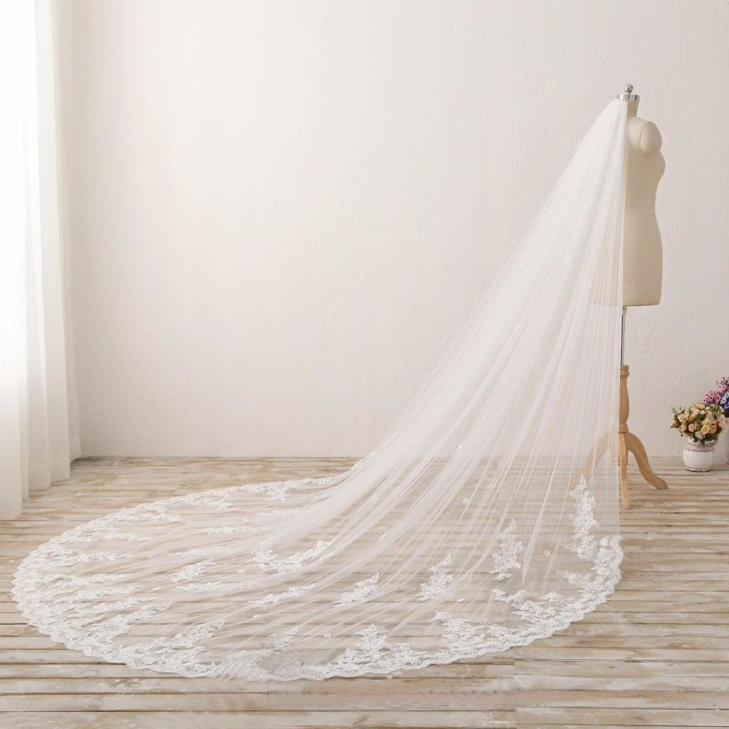 3M Long Embroidered Lace Cathedral Veil for Wedding WV11