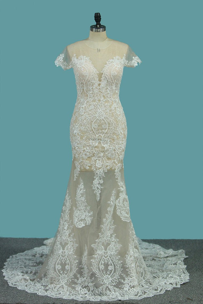 Scoop Short Sleeve Mermaid Tulle Lace Applique Wedding Dresses DME76