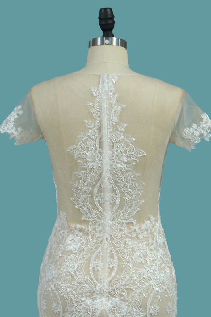 Scoop Short Sleeve Mermaid Tulle Lace Applique Wedding Dresses DME76