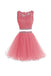 Two Pieces A Line Tulle Applique Short Homecoming/Prom Dresses With Beads DM341
