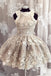 Unique Tulle Lace Applique Short Prom Dress, A Line Cute Homecoming Dress DMP43