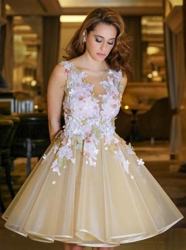 A-Line Scoop Backless Short Sleeveless Organza Homecoming Dress with Appliques DM228