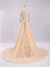 Pretty A-Line V-Neck Long Sleeves Tulle Appliques Floor Length Prom Dresses DMG32