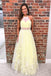 Princess Tulle A Line Appliques Long Prom Dress Party Dress DMK98