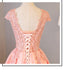 Blush Pink A Line Cap Sleeves Appliques Beaded Long Prom Dresses DMJ85
