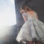 A Line V neck Lace Sleeveless Tulle Short Ball Gowns Light Grey Short Homecoming Dress DM204