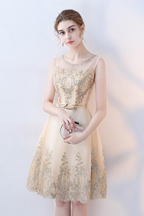 A Line Round Neck Short Lace Appliques Homecoming Dresses DMC97