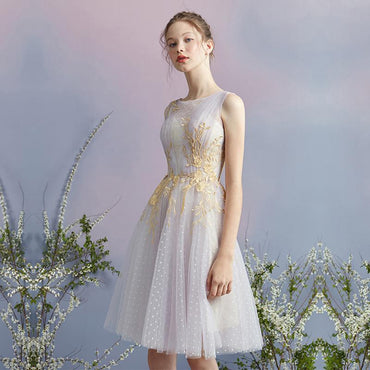 Elegant A Line Tulle Short Homecoming Dresses With Gold Appliques DMC53