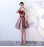 Charming A Line V Neck Red Flowers Short Tulle Homecoming Dresses DMC65