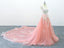 A-line V Neck Pink Tulle Lace Appliques Cathedral Train Formal Prom Dress DMS2