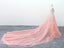 A-line V Neck Pink Tulle Lace Appliques Cathedral Train Formal Prom Dress DMS2