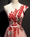 A Line Pink One Shoulder Tulle Red Applique Long Prom Dress Evening Dress DMR97