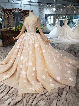 Princess Long Sleeves Ball Gown Wedding Dresses, Floral Appliques Wedding Gown DMJ95