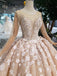 Princess Long Sleeves Ball Gown Wedding Dresses, Floral Appliques Wedding Gown DMJ95