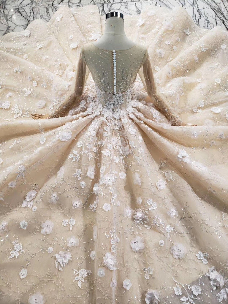 Princess Long Sleeves Ball Gown Wedding Dresses, Floral Appliques Wedding Gown DMJ95