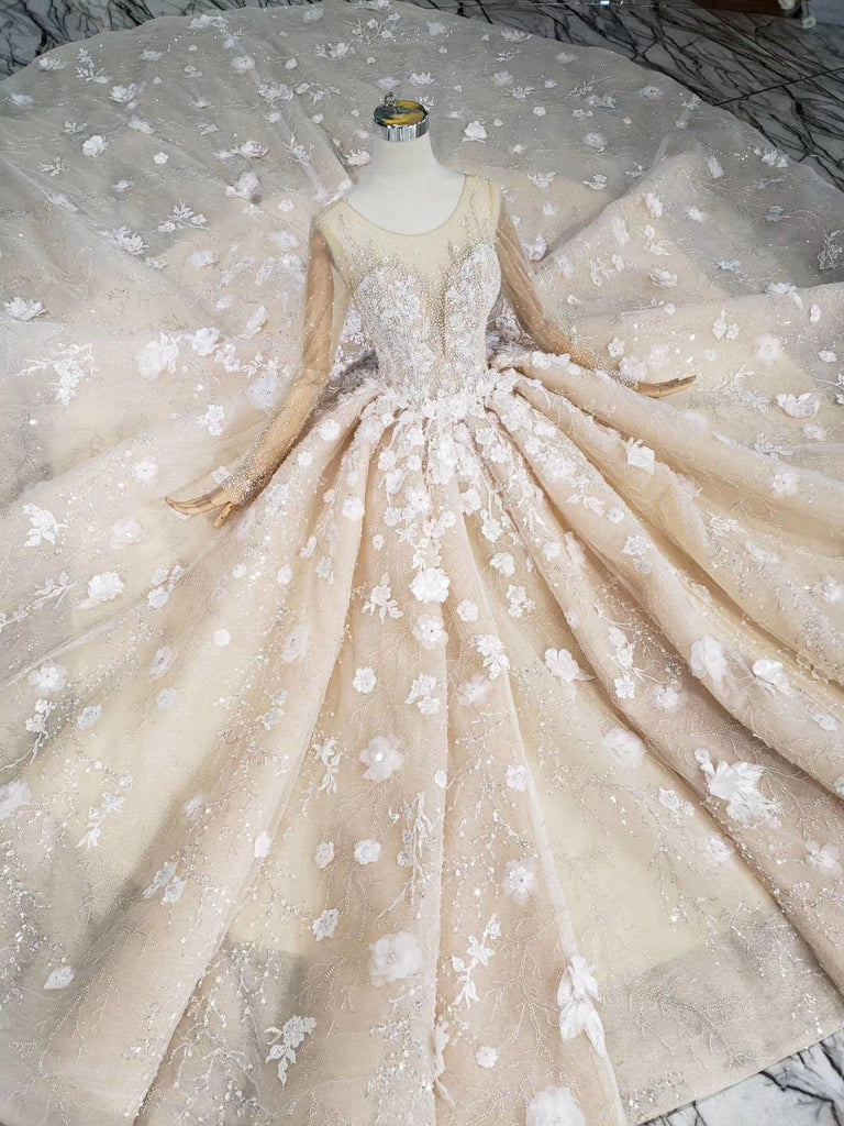Princess Long Sleeves Ball Gown Wedding Dresses, Floral Appliques Wedding Gown DMJ95