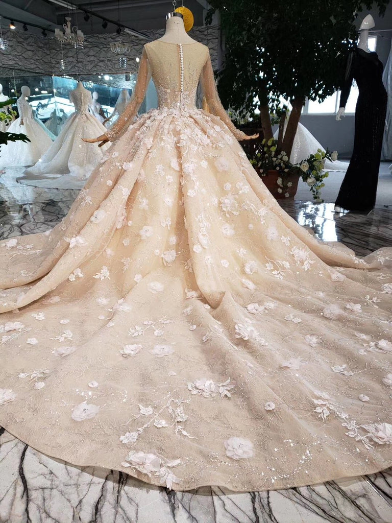 Princess Long Sleeves Ball Gown Wedding Dresses, Floral Appliques Wedding Gown DMJ95