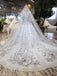 Stunning Light Blue Ball Gown Wedding Dresses, Quinceanera Dresses DMJ98