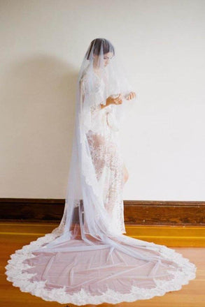 1T Tulle with Lace Wedding Bridal Veil Cathedral Length WV4