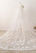 3M Long Embroidered Lace Cathedral Veil for Wedding WV11