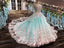 Princess Ball Gown Flower Appliques Prom Dress,Quinceanera Dresses DME65