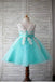 Blue Ball Gown Scoop Sleeveless Bowknot Floor-Length Tulle Appliques Flower Girl Dresses DM722