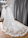Vintage A Line V Neck Lace Wedding Dress With Flutter Sleeves DM1901