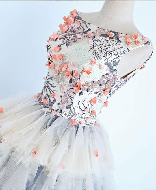 Unique Long Applique Ball Gown Prom Dress,Quinceanera Dresses,Sweet 16 Dress DM862