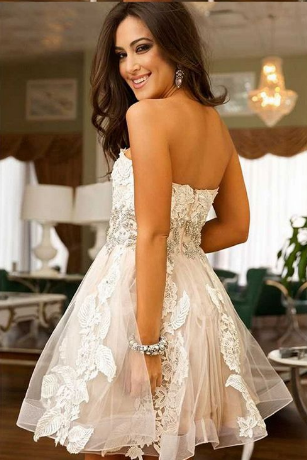 Cute Sweetheart Tulle A Line Short Homecoming Dress With Lace DM457