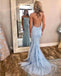 Blue Lace Applique Mermaid Sexy Cheap Long Prom Dress DME39