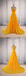 Yellow A Line V Neck Criss Cross Back Chiffon Long Prom Dress DMB58