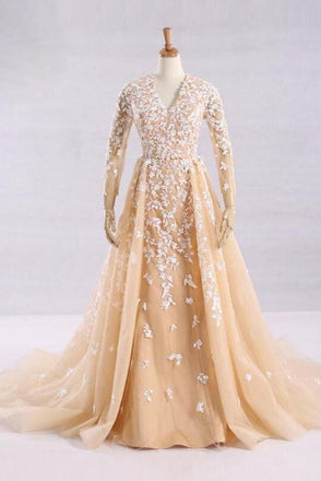 Pretty A-Line V-Neck Long Sleeves Tulle Appliques Floor Length Prom Dresses DMG32