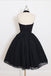 stunning A Line Black Chiffon Prom Dress,Halter Homecoming Dress,Short Mini Party Dress DM482