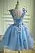 Sky Blue Butterfly Applique A Line V Neck Short Homecoming Dress DMB67